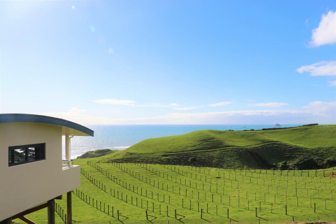 Chalets At Okurukuru 新普利茅斯 外观 照片