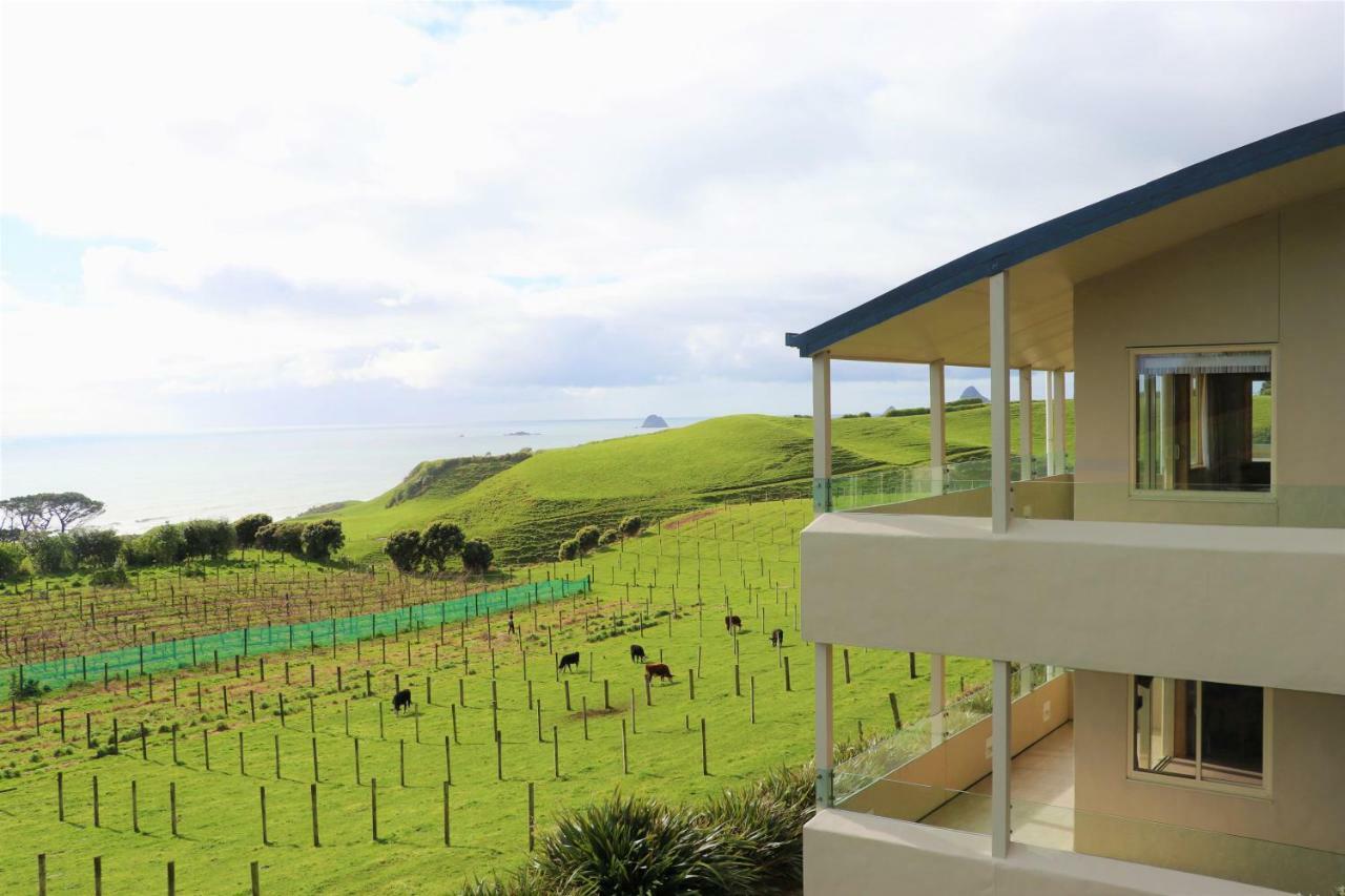 Chalets At Okurukuru 新普利茅斯 外观 照片