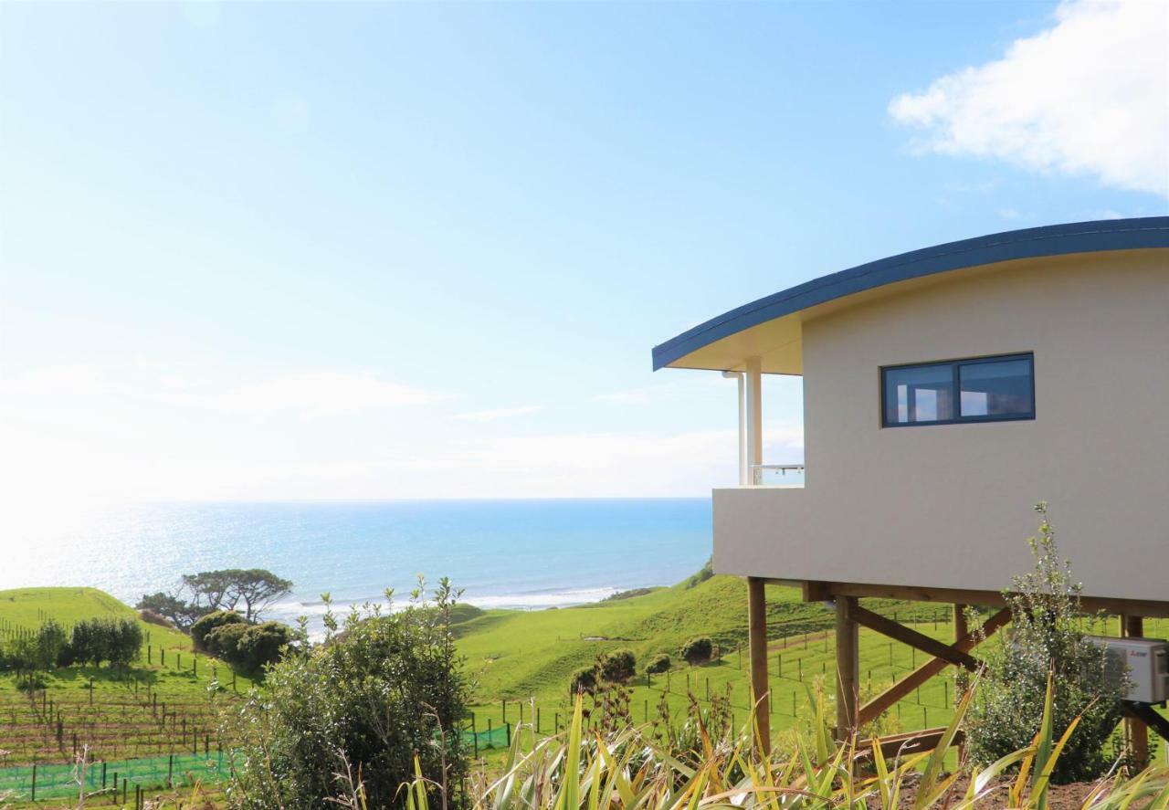 Chalets At Okurukuru 新普利茅斯 外观 照片